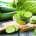 Cucumber - Room/Linen Spray