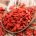 Goji Berry - Reed Diffuser