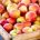 Honeycrisp - Reed Diffuser