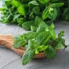 Mint Leaf - Room/Linen Spray