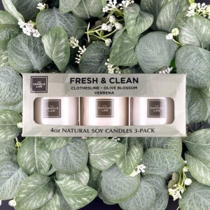 Fresh & Clean 3-Pack